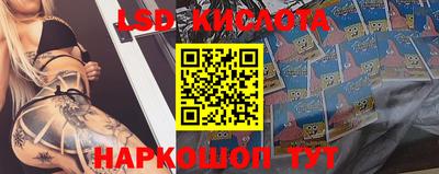 прущие крисы Моздок