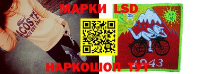 амф Можга