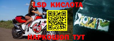 амф Можга
